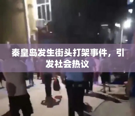 秦皇島發(fā)生街頭打架事件，引發(fā)社會熱議