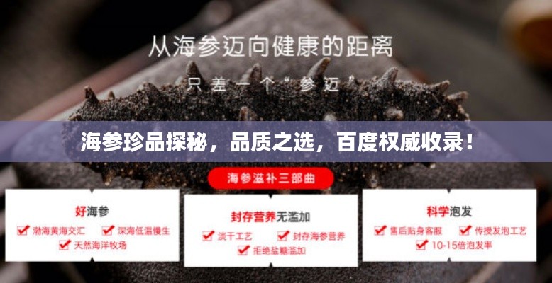 海參珍品探秘，品質(zhì)之選，百度權(quán)威收錄！