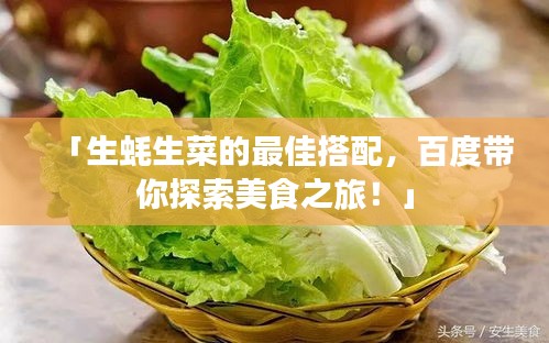 「生蠔生菜的最佳搭配，百度帶你探索美食之旅！」