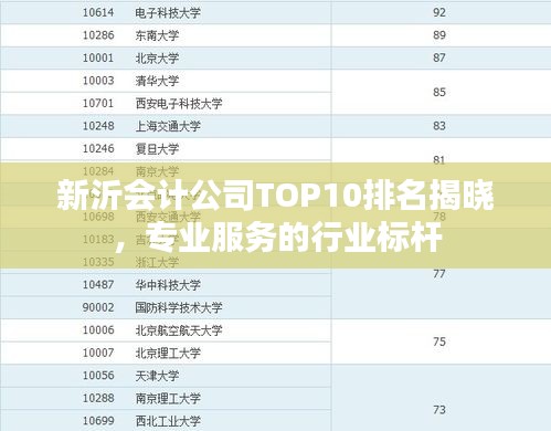 新沂會計公司TOP10排名揭曉，專業(yè)服務的行業(yè)標桿