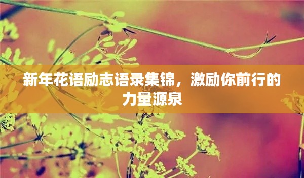 新年花語勵志語錄集錦，激勵你前行的力量源泉