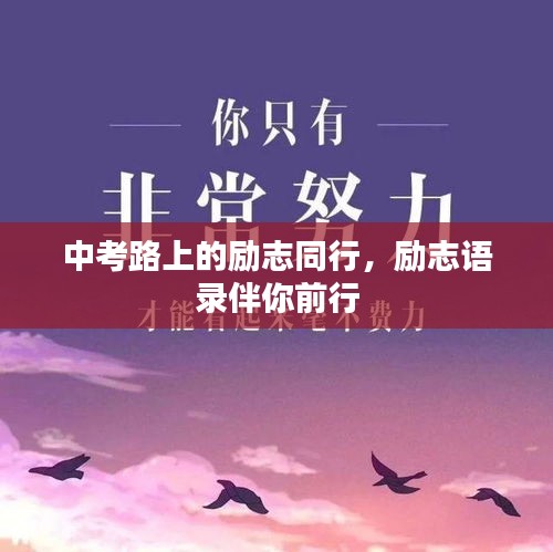 中考路上的勵志同行，勵志語錄伴你前行