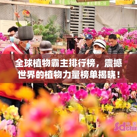 全球植物霸主排行榜，震撼世界的植物力量榜單揭曉！