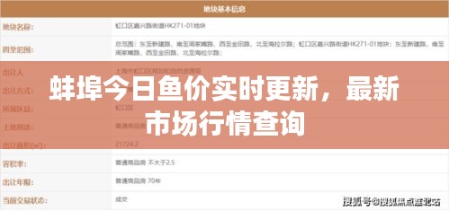 蚌埠今日魚價實時更新，最新市場行情查詢