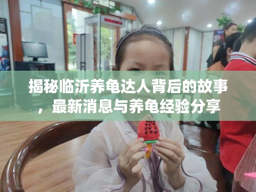 揭秘臨沂養(yǎng)龜達人背后的故事，最新消息與養(yǎng)龜經(jīng)驗分享