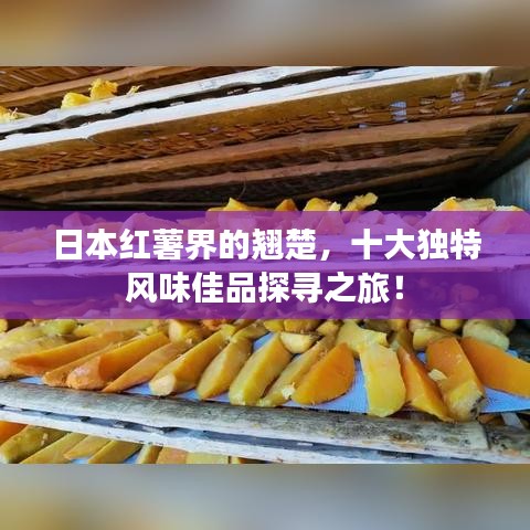 日本紅薯界的翹楚，十大獨(dú)特風(fēng)味佳品探尋之旅！