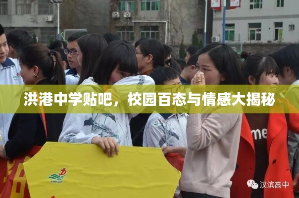 洪港中學(xué)貼吧，校園百態(tài)與情感大揭秘