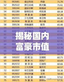 揭秘國內(nèi)富豪市值排名前十，誰是真正的億萬富翁？
