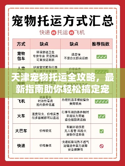 天津?qū)櫸锿羞\(yùn)全攻略，最新指南助你輕松搞定寵物出行！