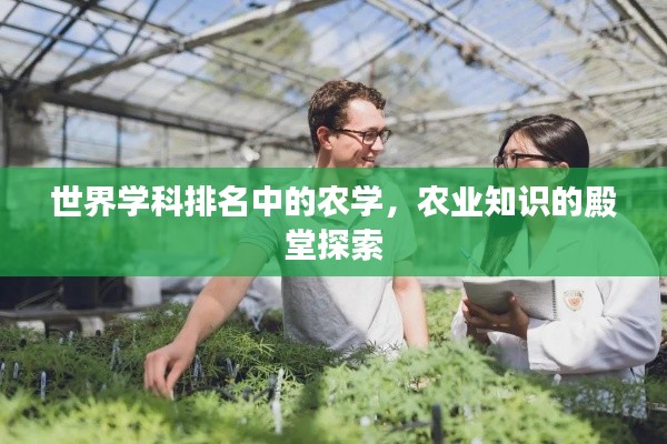 世界學(xué)科排名中的農(nóng)學(xué)，農(nóng)業(yè)知識的殿堂探索