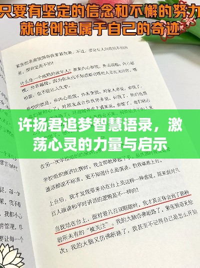 許揚君追夢智慧語錄，激蕩心靈的力量與啟示