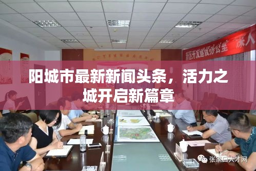 陽城市最新新聞頭條，活力之城開啟新篇章
