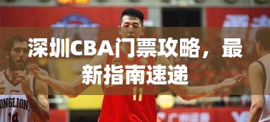 深圳CBA門票攻略，最新指南速遞