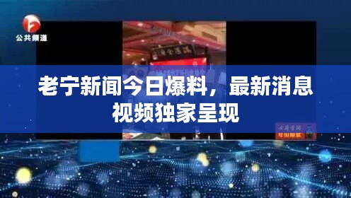 老寧新聞今日爆料，最新消息視頻獨家呈現
