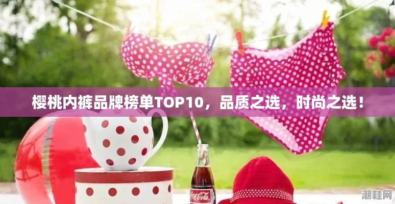 櫻桃內(nèi)褲品牌榜單TOP10，品質(zhì)之選，時(shí)尚之選！
