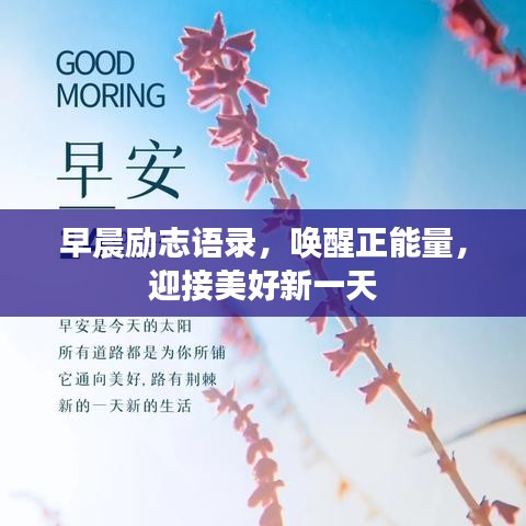 早晨勵志語錄，喚醒正能量，迎接美好新一天