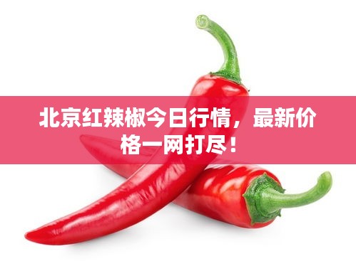 北京紅辣椒今日行情，最新價(jià)格一網(wǎng)打盡！