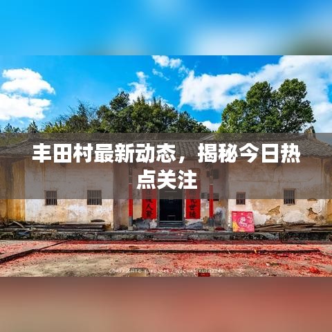 梨花帶雨 第3頁(yè)