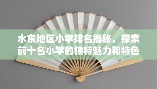 水東地區(qū)小學(xué)排名揭秘，探索前十名小學(xué)的獨(dú)特魅力和特色教育之路