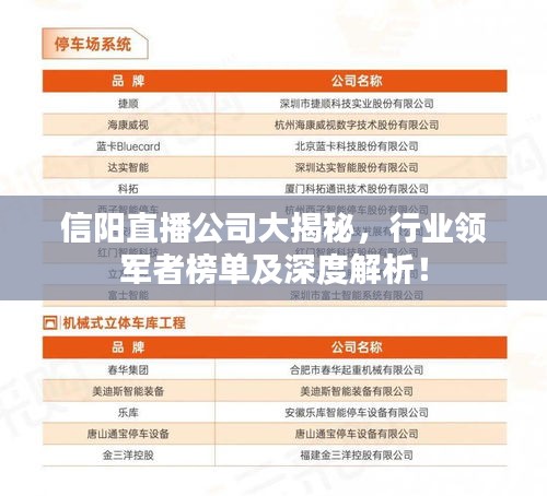 信陽直播公司大揭秘，行業(yè)領(lǐng)軍者榜單及深度解析！