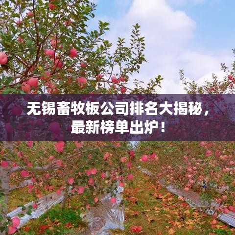 無錫畜牧板公司排名大揭秘，最新榜單出爐！