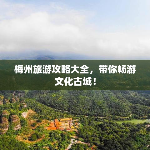 矢志不渝 第3頁(yè)