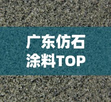 廣東仿石涂料TOP10排行榜，品質(zhì)之選一網(wǎng)打盡！