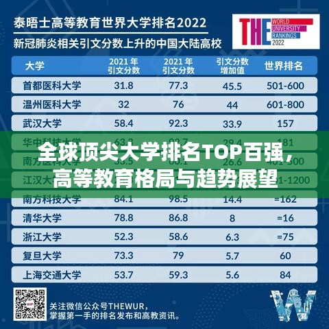 全球頂尖大學排名TOP百強，高等教育格局與趨勢展望