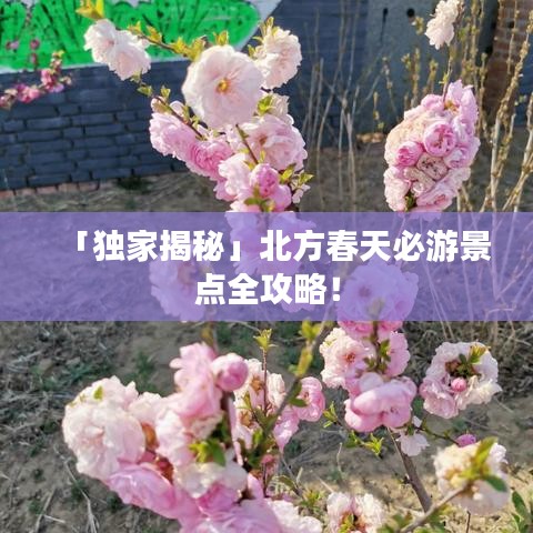 「獨(dú)家揭秘」北方春天必游景點(diǎn)全攻略！