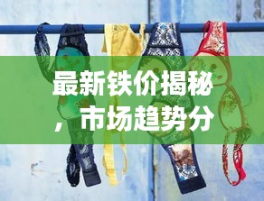 最新鐵價揭秘，市場趨勢分析與附近鐵價動態(tài)