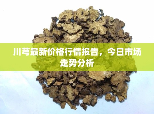 川芎最新價(jià)格行情報(bào)告，今日市場走勢分析