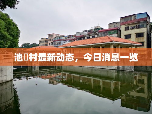 池滘村最新動態(tài)，今日消息一覽