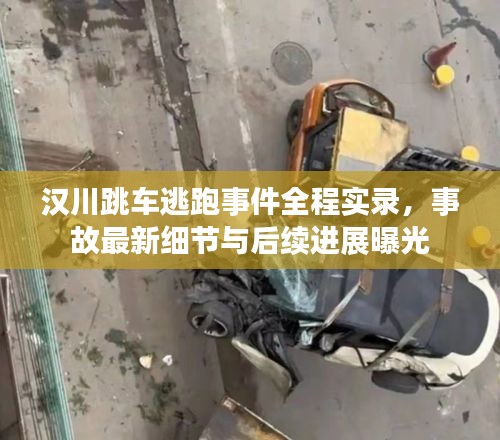 漢川跳車逃跑事件全程實錄，事故最新細節(jié)與后續(xù)進展曝光