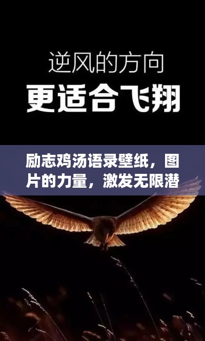 勵(lì)志雞湯語錄壁紙，圖片的力量，激發(fā)無限潛能