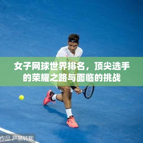 女子網(wǎng)球世界排名，頂尖選手的榮耀之路與面臨的挑戰(zhàn)