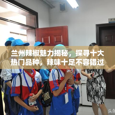 蘭州辣椒魅力揭秘，探尋十大熱門(mén)品種，辣味十足不容錯(cuò)過(guò)