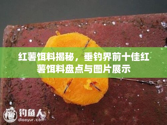 紅薯餌料揭秘，垂釣界前十佳紅薯餌料盤點(diǎn)與圖片展示