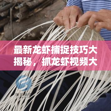 最新龍蝦捕捉技巧大揭秘，抓龍蝦視頻大全，體驗(yàn)樂趣無限！