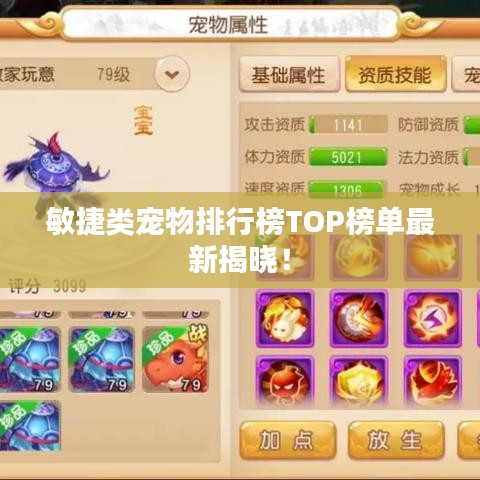 敏捷類(lèi)寵物排行榜TOP榜單最新揭曉！
