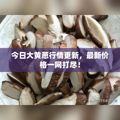 今日大黃蔥行情更新，最新價格一網(wǎng)打盡！