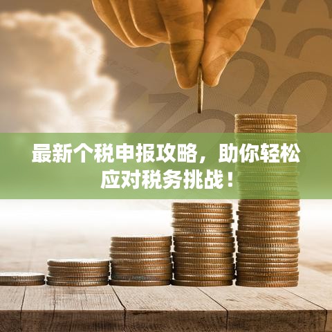 最新個稅申報攻略，助你輕松應(yīng)對稅務(wù)挑戰(zhàn)！