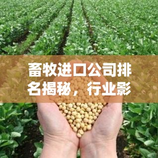 畜牧進口公司排名揭秘，行業(yè)影響力深度解析