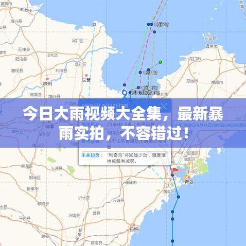 今日大雨視頻大全集，最新暴雨實拍，不容錯過！