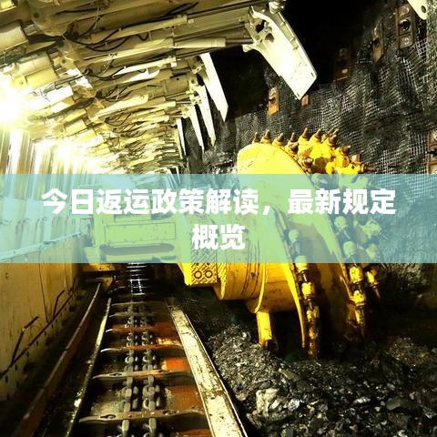 今日返運(yùn)政策解讀，最新規(guī)定概覽