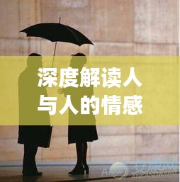 深度解讀人與人的情感連接，心心相照的魅力