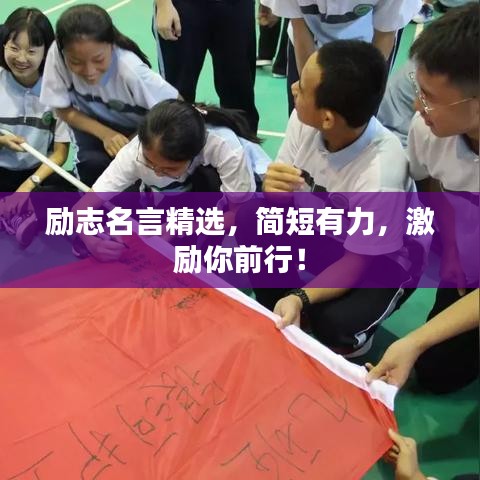 產(chǎn)品展示 第311頁