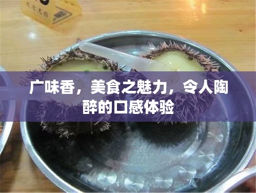 廣味香，美食之魅力，令人陶醉的口感體驗(yàn)