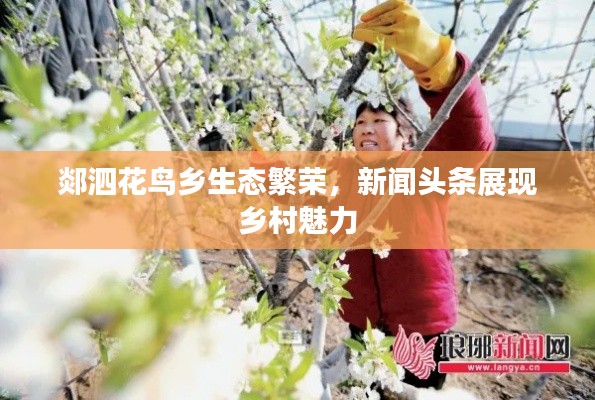 郯泗花鳥(niǎo)鄉(xiāng)生態(tài)繁榮，新聞?lì)^條展現(xiàn)鄉(xiāng)村魅力