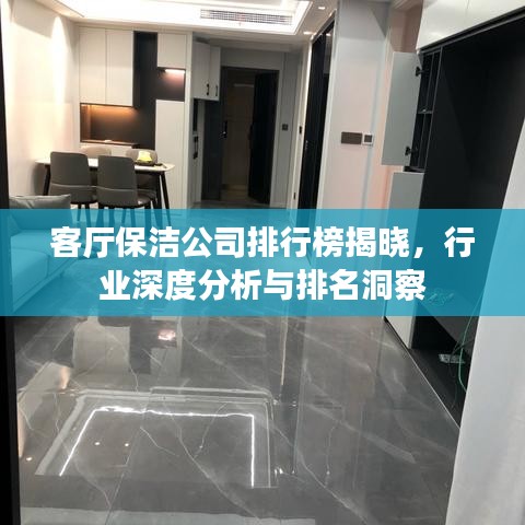 客廳保潔公司排行榜揭曉，行業(yè)深度分析與排名洞察