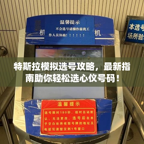 特斯拉模擬選號攻略，最新指南助你輕松選心儀號碼！